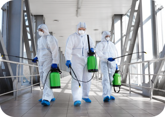 Sanitization & Disinfections