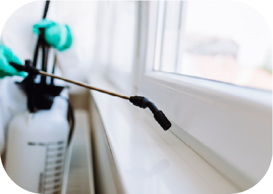 Sanitization & Disinfections